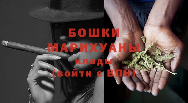 сатива Анжеро-Судженск