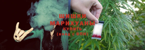 дмт Анива