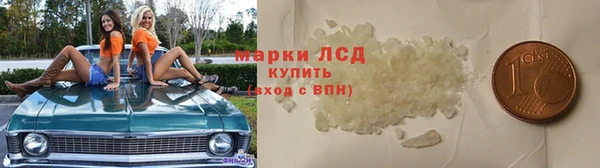 сатива Анжеро-Судженск