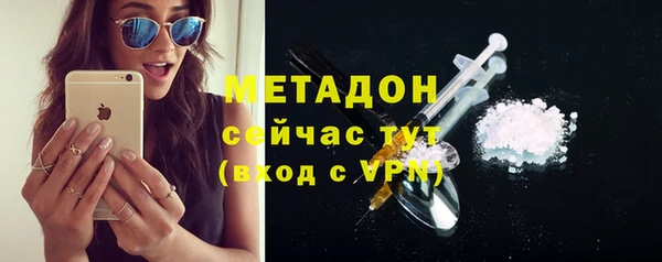 сатива Анжеро-Судженск
