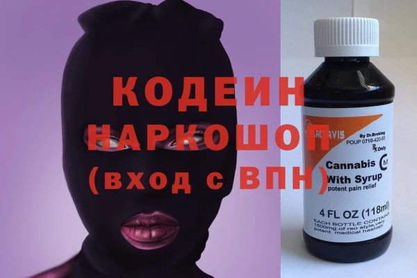 дмт Анива