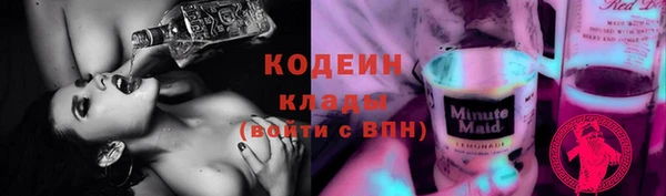 сатива Анжеро-Судженск