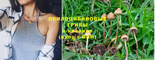дмт Анива
