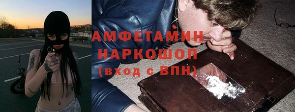 дмт Анива